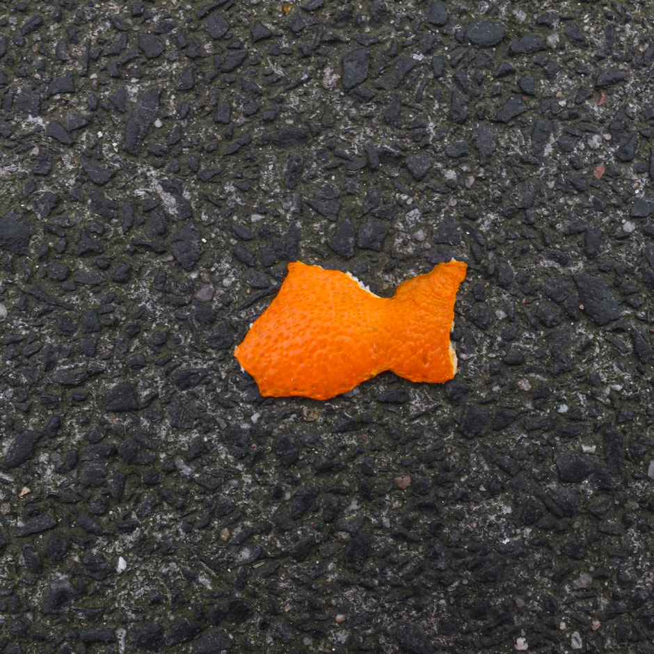 orangenfisch | 2013